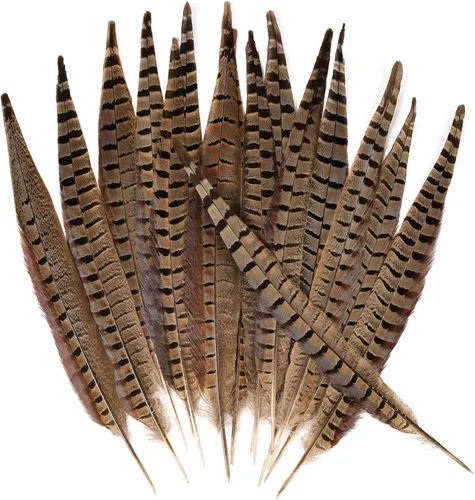 Miniatura 15 de THARAHT 24 plumas de faisán femenino, plumas naturales de 6 a 8 pulgadas, 5.9-7.9 in para manualidades, hogar, boda, fiesta, actuación, decoración