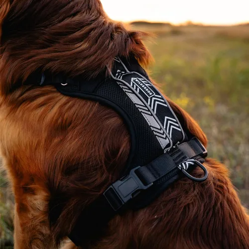 Miniatura 2 de Wilderdog Arnés ligero para perro con correas reflectantes - Pequeño - Negro