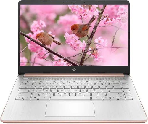 HP Portátil con pantalla táctil de 14 pulgadas, Intel Dual-Core N4020, 8 GB de RAM, 192 GB de almacenamiento (64 GB eMMC+128 GB Micro SD), cámara