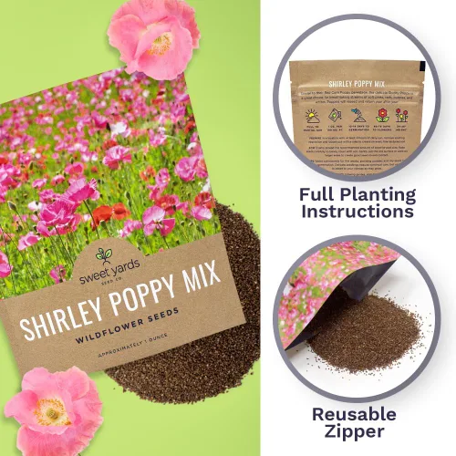 Miniatura 5 de Shirley - Semillas de amapola - Colores mezclados - Paquete extra grande - Más de 200,000 semillas de flores silvestres polinizadas abiertas sin OMG