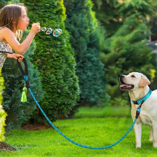 Miniatura 6 de Dynmeow Juego de collar y correa reflectante para perro, correa de cuerda de escalada fuerte de 6 pies con mango acolchado, collar ajustable