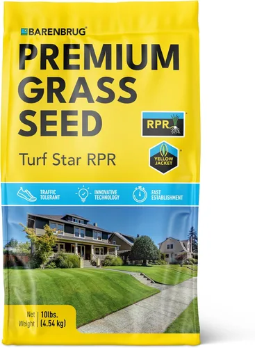 Barenbrug Turf Star Semilla de césped regenerante de raigrás perenne con revestimiento Yellow Jacket, mezcla de semillas de césped de acción rápida