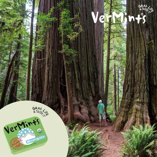 Miniatura 3 de VerMints Organic Breath Mints sabor a gaulta, todo natural, sin OMG, sin nueces, sin gluten, vegano, KSA Kosher, paquete de 6, latas de 1.41 onzas