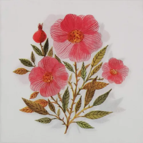 Miniatura 24 de Zelten Servilletas de papel de colores (rosa telar)