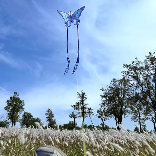 Miniatura 2 de Cometas de mariposa para niños y adultos, fácil de volar, cometa grande de una sola línea para niños y niñas, cometa de playa de 55 x 28 pulgadas