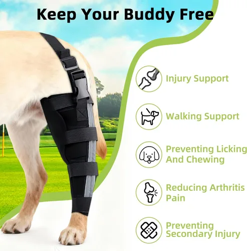 Miniatura 2 de Rodilleras ortopédicas para perros, rodillera para perro para ligamento cruzado y soporte de pierna trasera, soporte canino para recuperación