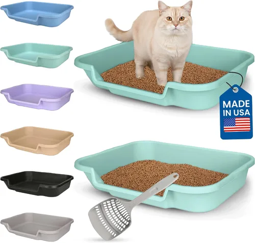 Miniatura 46 de KittyGoHere - Caja de arena para gatos mayores, sartén pequeña con cuchara jumbo de mango largo, caja de arena para gatos de entrada baja, ligera