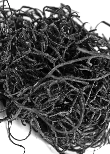 Miniatura 4 de SuperMoss Musgo Español Conservado, Negro