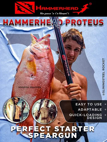 Miniatura 2 de Hammerhead Spearguns Proteus