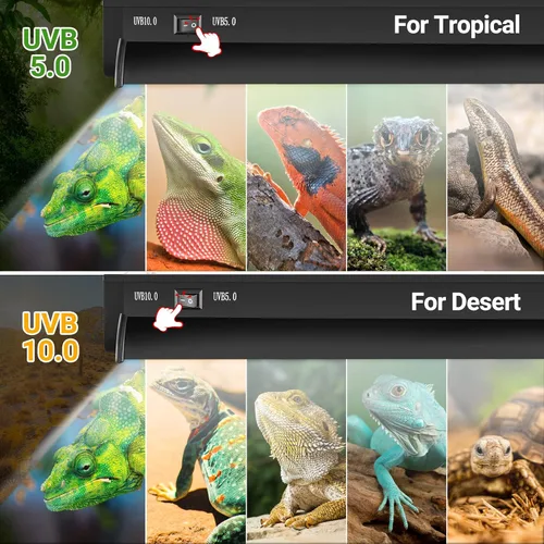 Miniatura 2 de REPTI ZOO Luz UVB conmutable para reptiles, 24W T5 UVB Kit combinado de luz para reptiles tropicales y del desierto, lámpara de campana de terrario