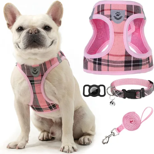 Miniatura 37 de EXPAWLORER Arnés Clásico de Plátanos para Cachorros - Juego de Arnés y Correa para Perros Pequeños - Juego de Collar y Correa para Perros con Azul