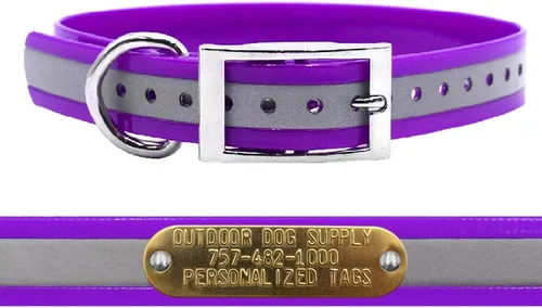Miniatura 5 de Outdoor Dog Supply Collar de perro con anillo en D impermeable reflectante resistente de 1 pulgada para perros medianos y grandes con placa