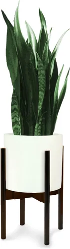Miniatura 16 de Fox & Fern Soporte Grande Ajustable para Plantas de Interior — 11 a 15 Pulgadas, Soporte Premium de Bambú Estilo Moderno de Mediados del Siglo