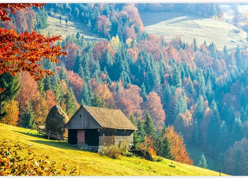 Miniatura 2 de SIGNWIN Adhesivo mural removible para pared, otoño, campo, cabaña, bosque, naturaleza, desierto, fotografía, realismo, paisaje decorativo, colorido