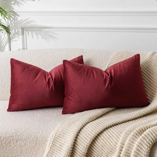 Miniatura 40 de Juspurbet - Juego de 2 fundas decorativas de terciopelo para cojines, fundas suaves para sofá, cama o sillón con cremallera oculta, para sala