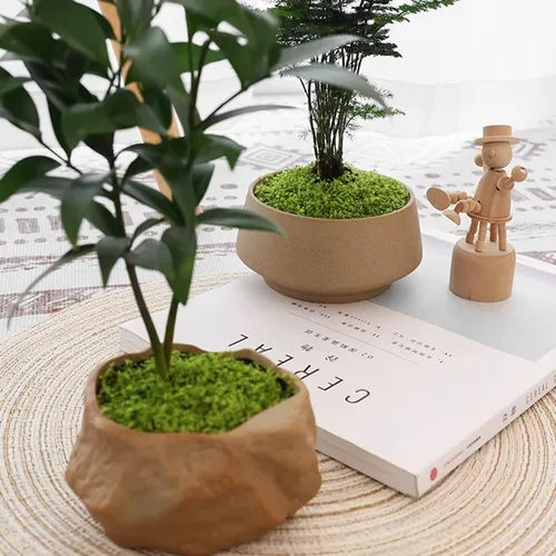 Miniatura 7 de KEYUSHOP Musgo verde falso para plantas en maceta, 5.3 onzas, musgo de reno preservado, musgo artificial decorativo para bricolaje, centros de mesa