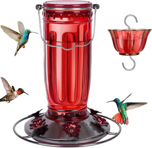 Kingsyard Comedero de vidrio para colibríes para exteriores, comedero para pájaros silvestres con 6 puertos de alimentación para colgar para patio