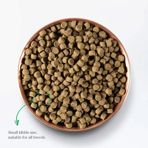 Miniatura 3 de Open Farm - Alimento seco para perros sin granos para cachorros, receta de carne 100% criada por humanos con superalimentos sin OMG y sin sabores