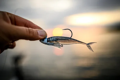 Miniatura 6 de Berkley PowerBait The Champ Minnow - Cebo suave de pesca, calabaza verde, 3.4 pulgadas