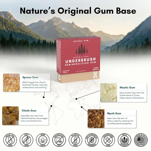 Miniatura 4 de Underbrush Cinna-Mastic - Goma de mascar remineralizante, goma de xilitol sin azúcar con hidroxiapatita, apoya el aliento fresco y la salud bucal