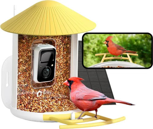 NETVUE by Birdfy - Alimentador inteligente para pájaros con cámara AI 2K alimentado por energía solar, observación inalámbrica de aves silvestres de