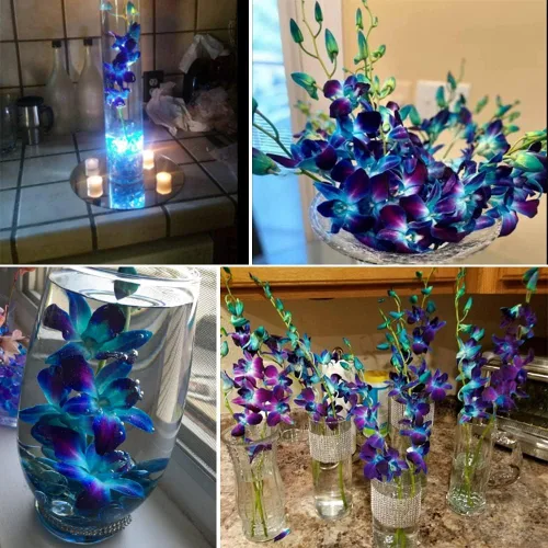 Miniatura 5 de 60 cabezas de orquídeas artificiales, 12 piezas de flores de orquídeas artificiales para velas flotantes, centros de mesa de boda, decoración