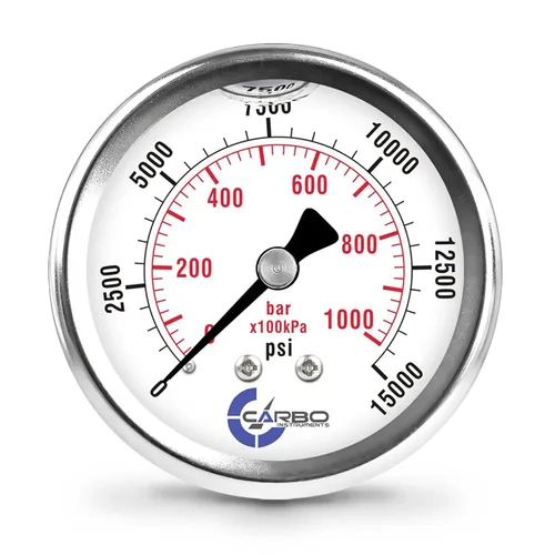 Miniatura 11 de 2 1-2" Medidor de presión, carcasa de acero inoxidable, conexión de latón cromado, llenado de líquido, 0-4000 psi/kPa, montaje trasero 1/4" NPT