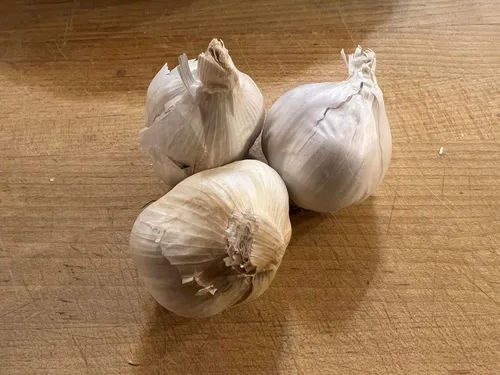 Bulbos de ajo frescos cultivados naturalmente para plantar, sin OMG, 3 unidades (20-30 dientes)