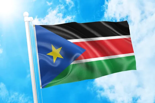 Miniatura 17 de DMSE Bandera de Sierra Leona 3X5 Pies 100% Poliéster Bandera 100D 47-91 x 152 cm