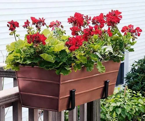Miniatura 5 de Achla - Soportes de caja de flores para rieles de terraza, soportes de hierro forjado para macetas de 8 pulgadas, soportes de caja de flores