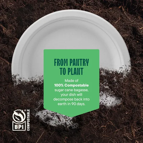 Miniatura 6 de Stack Man Platos de papel 100% compostables de 9 pulgadas, resistentes [paquete de 125] platos desechables ecológicos de bagazo blanco hechos