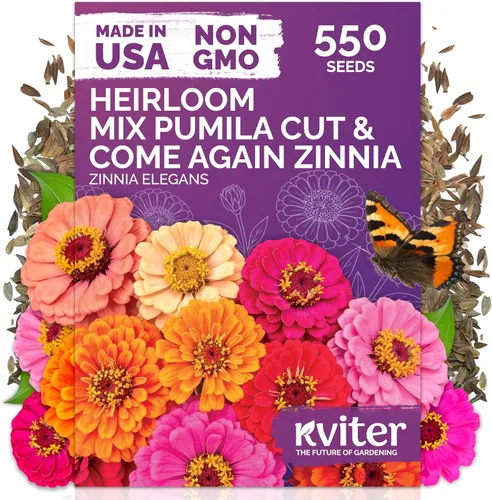 Miniatura 9 de KVITER 150 semillas de gloria de la mañana azul celestial a granel (Ipomoea Tricolor) - Paquetes de semillas de reliquia - Semillas de flores
