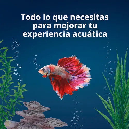 Miniatura 3 de Aqueon Kit de Acuario Pequeño LED MiniBow con Tecnología SmartClean, Azul, 1 Galón