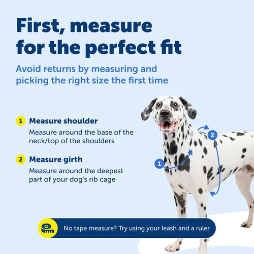 Miniatura 6 de PetSafe Arnés 3 en 1 con correa de control de dos puntos, arnés sin tirones, pequeño, negro, ajustable