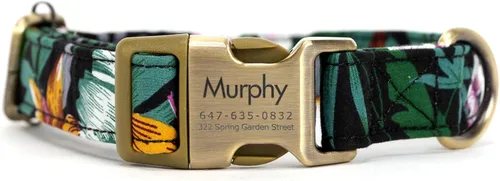 Miniatura 8 de Collar de perro personalizado con nombre y número de teléfono grabado, collar ajustable personalizado para cachorros, collar de algodón orgánico
