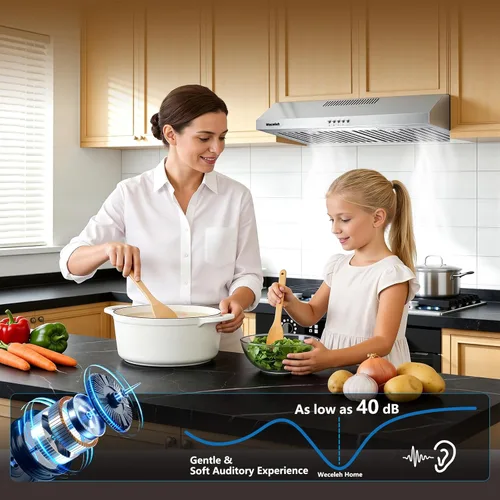 Miniatura 4 de Campana extractora para debajo del gabinete de 30 pulgadas, 600 CFM, con conductos o sin conductos, convertible para cocina, acero inoxidable, 3