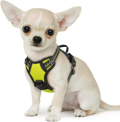 Miniatura 53 de Eagloo Arnés para perro pequeño, sin tirones, chaleco de servicio con tiras reflectantes y asa de control, ajustable y cómodo para caminar, arnés