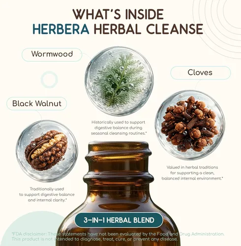 Miniatura 4 de HerbEra Herbal Cleanse Tintura Orgánica Sin Alcohol Fórmula de Desintoxicación y Limpieza, Suplemento de Extracto Hierba de Ajenjo Orgánica
