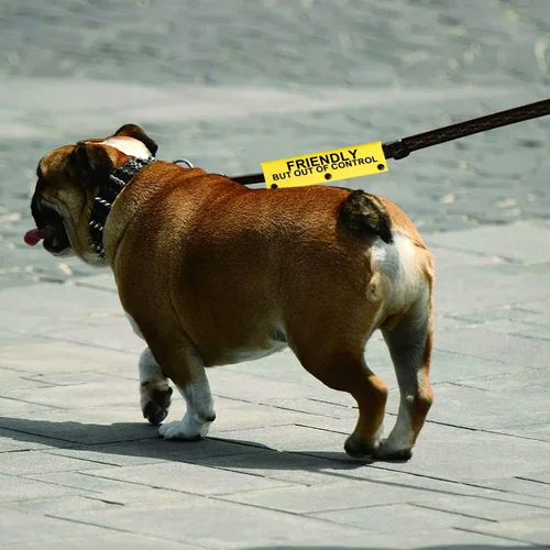 Miniatura 6 de Divertida correa para perro apta para perros, pero fuera de control, para regalo de cumpleaños para mascotas (fuera de control YE)
