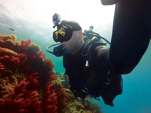 Miniatura 8 de GoPro Filtro de buceo para carcasa de buceo (Magenta) (accesorio oficial de GoPro )