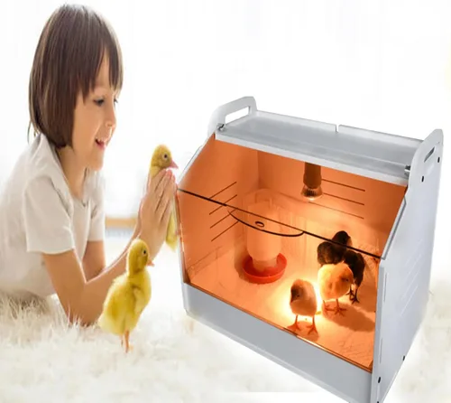 Miniatura 4 de Caja inteligente para cría 10-15 recién nacidos, pollitos, codorniz, pájaros, animales pequeños, incubadoras manuales, calentador de aves de corral