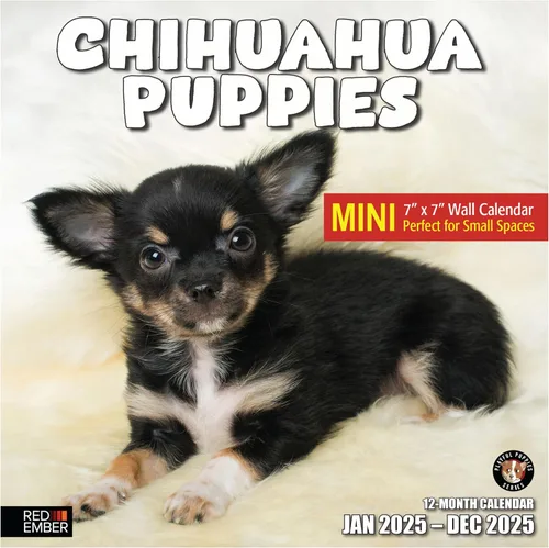Miniatura 7 de RED EMBER Chihuahua Puppies 2025 Calendario de pared de 12 meses 12 x 24 pulgadas abierto Papel grueso y resistente Regalo Calendario 2025