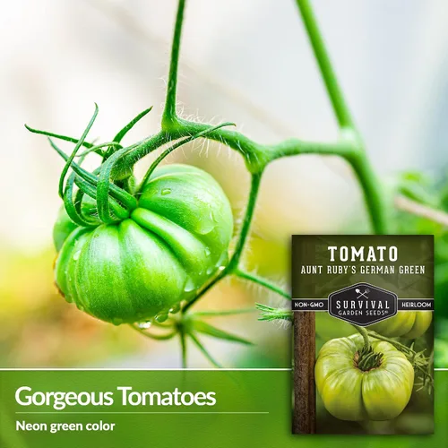 Miniatura 3 de Semillas de tomate verde alemán Aunt Ruby para plantar, variedad indeterminada con sabor dulce, tomates de polinización abierta sin OMG, semillas