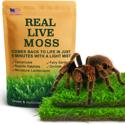 Real Live Moss - Paquete variado (cada uno de 3.5 x 7 pulgadas), musgo real decorativo para terrarios, mini jardines, plantas en maceta y bonsái,