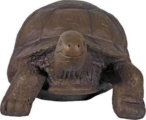 Miniatura 9 de Sunnydaze - Estatua de tortuga de Tanya the Garden – Decoración de jardín de tortuga para patio, césped, decoración de patio, 20 x 12 pulgadas