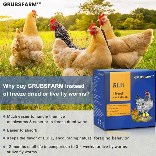 Miniatura 3 de Golosinas de pollo prémium de 2 libras, superiores a los gusanos secos de la harina, sin OMG y 85 veces más calcio que los gusanos de la comida