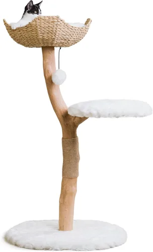 Miniatura 10 de Torre de Árbol de Gato de Madera, Condominio de Gato de Rama Única Moderna, Árbol de Gato de Madera, Escalada para Gatos, Muebles para Gatos, Regalo