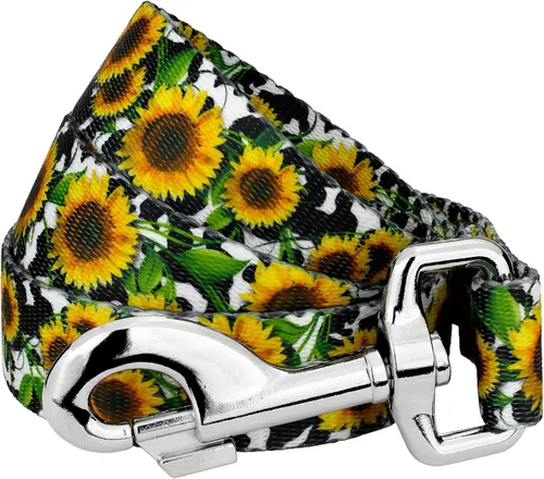 Miniatura 14 de Country Brook Design® Correa para perro Native Arizona de 1 pulgada - 6 pies Arizona nativa