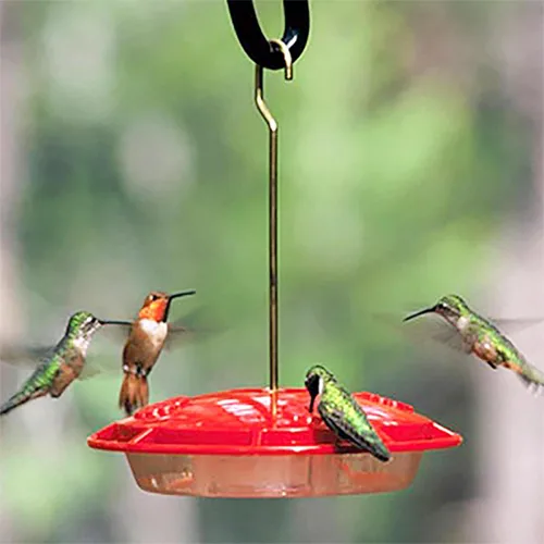 Miniatura 5 de Aspects 367 Hummzinger Ultra - Comedero para colibríes, 12 onzas (paquete de 2)
