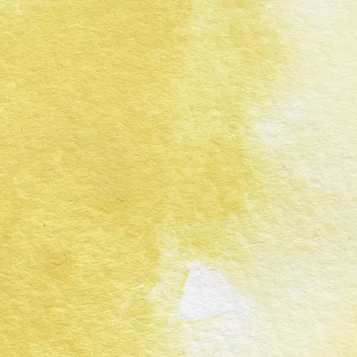 Miniatura 211 de Winsor & Newton - Pintura para acuarela profesional Tinte neutro